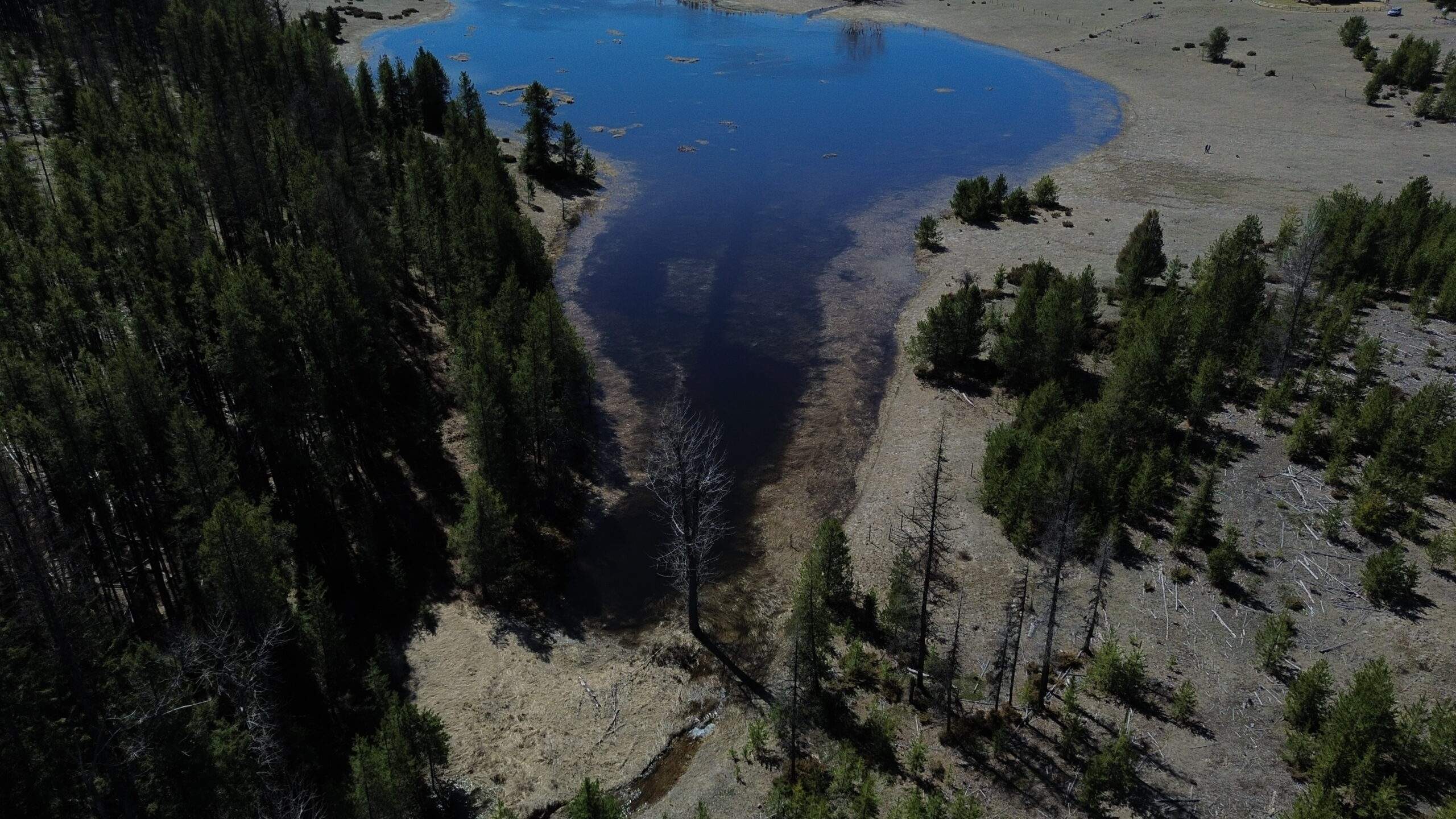 DJI_0060